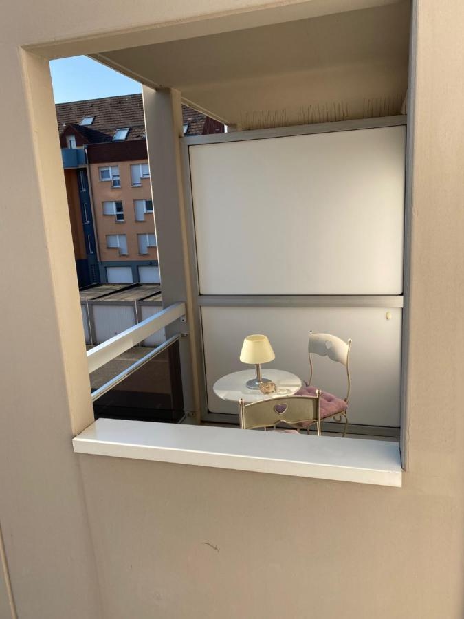 Charmant Studio A Haguenau, A 25Mn De Strasbourg 外观 照片